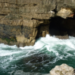 P1080102-w740_h555